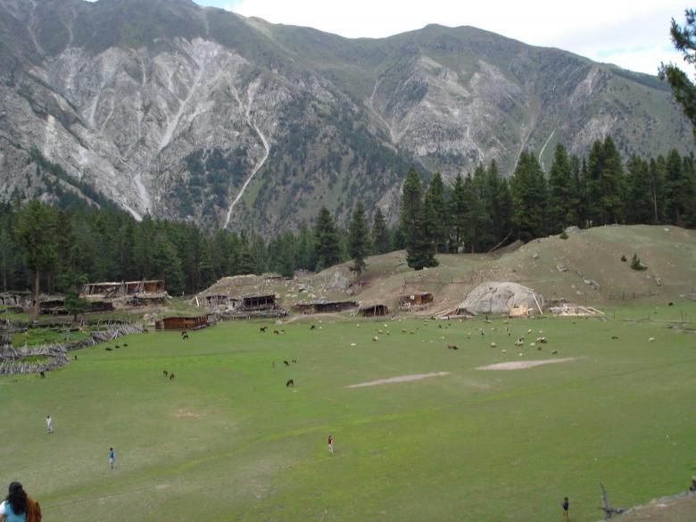 Free stock image of Fairy meadows created by Ali Haider