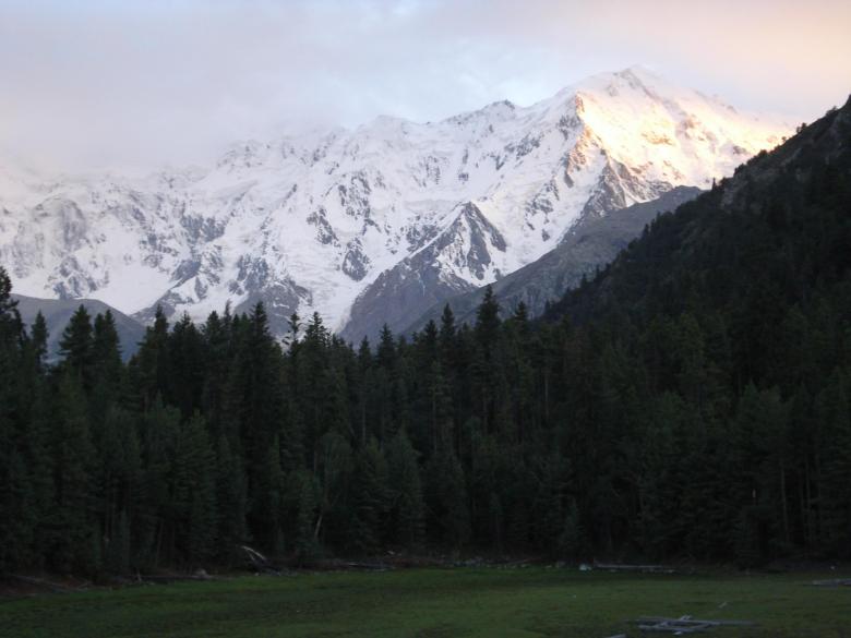Free stock image of Fairy Meadow, Nanga Parbat created by Ali Haider