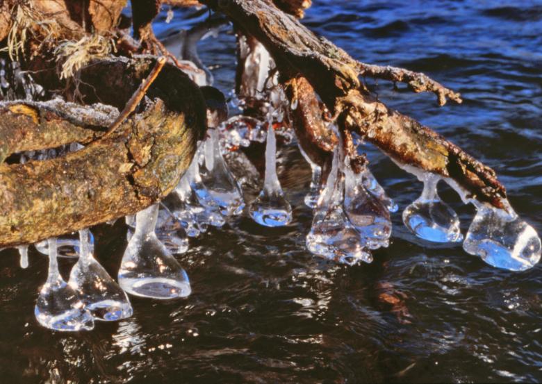 Free stock image of Winter created by MUNCH PIERRE