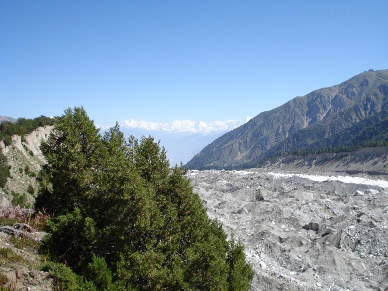Free stock image of Fairy Meadows created by Ali Haider