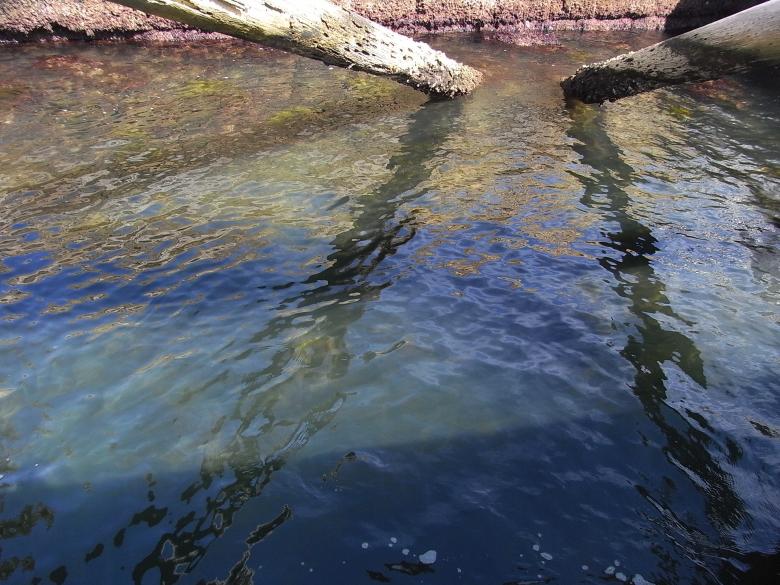 Free stock image of Water reflections created by Jackie Skeate