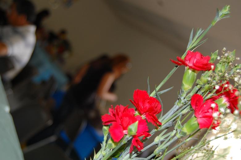 Free stock image of Red flowers created by RuelCastillo