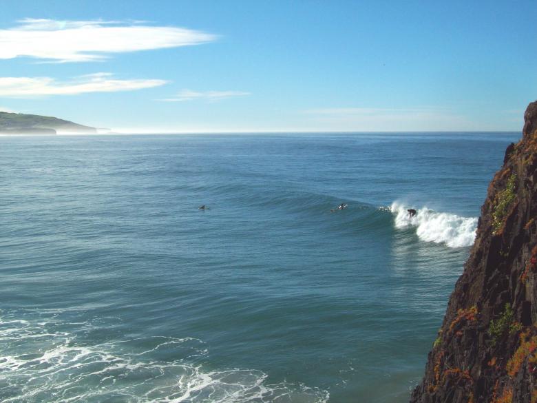Free stock image of Catch that Wave -  St Clair, Dunedin created by Peter Alexander Robb