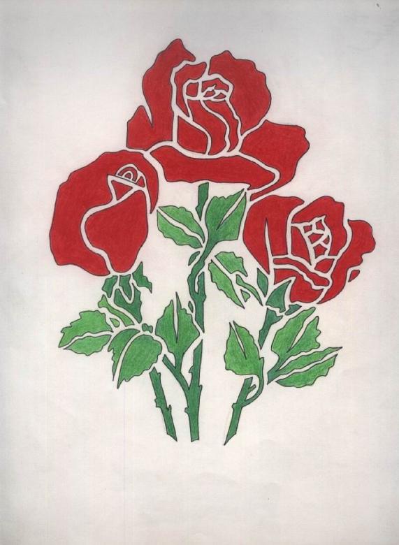 Free stock image of Red Roses created by Bilal Aslam