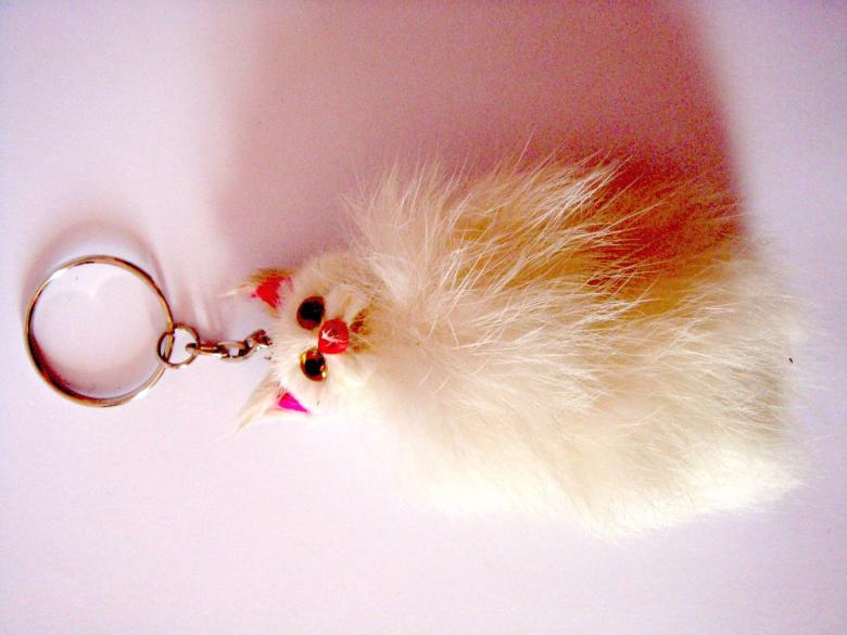 Free stock image of Cat Key Ring created by Bilal Aslam