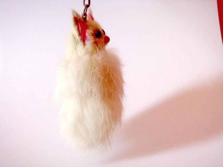 Free stock image of Cat Key Ring created by Bilal Aslam