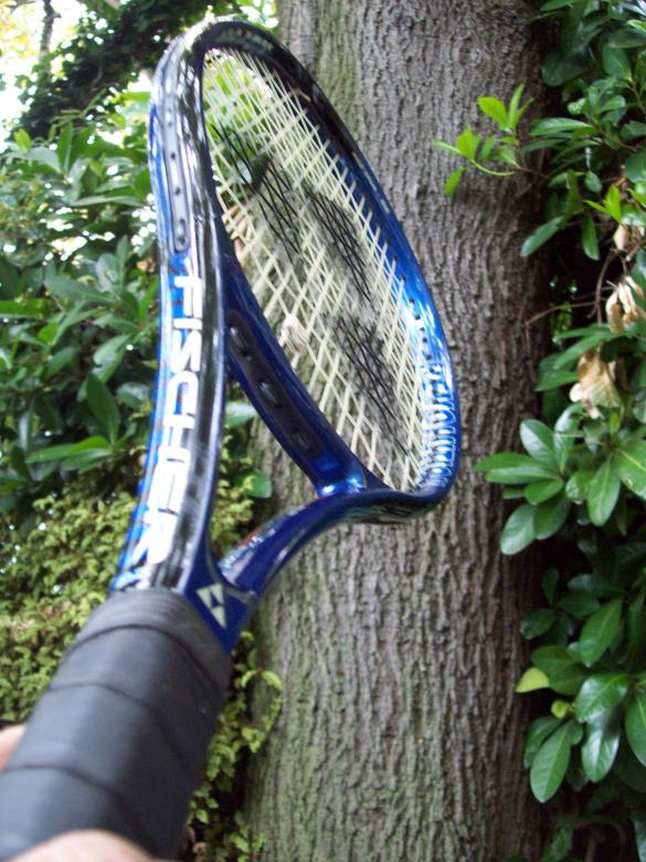Free stock image of Blue Tennis Racket created by Peter Alexander Robb