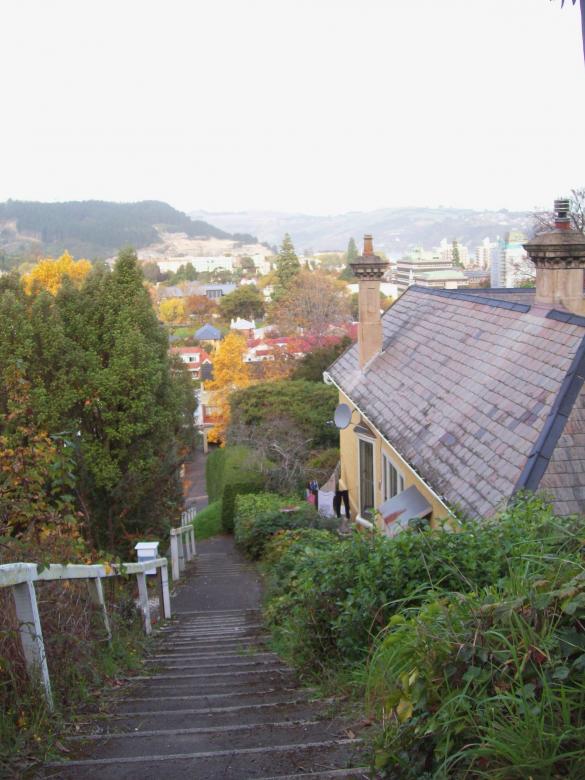 Free stock image of Dunedin steps and landscape created by Peter Alexander Robb