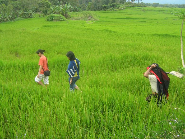 Free stock image of Walking the fields created by voldevis