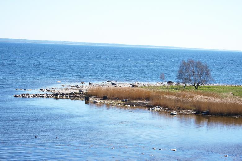 Free stock image of Summer Nature created by AD