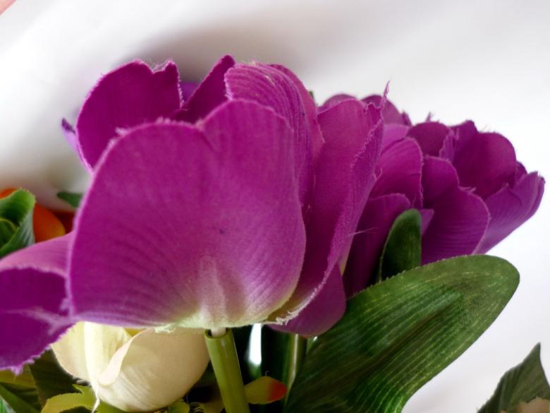 Free stock image of Purple Flowers created by Bilal Aslam