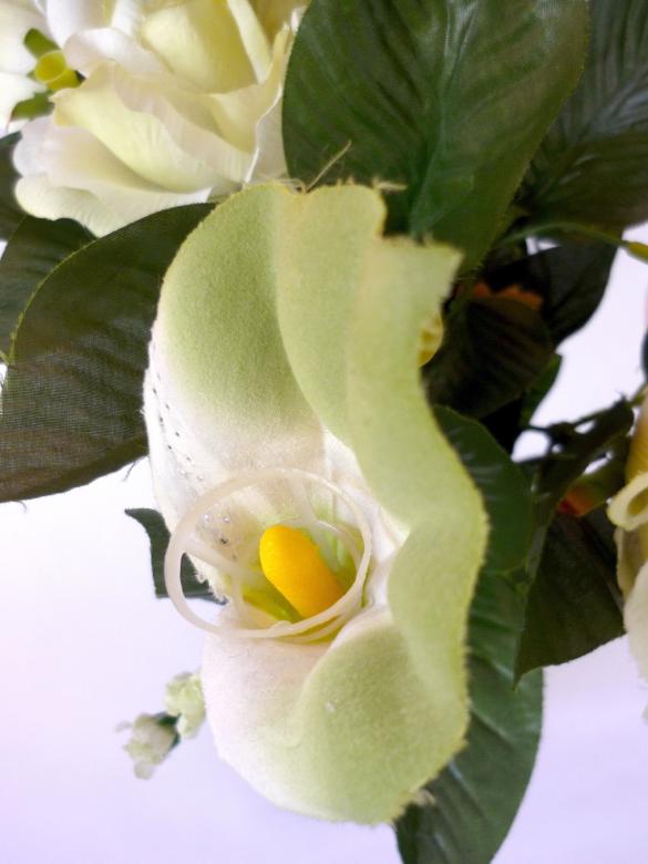 Free stock image of White Rose created by Bilal Aslam