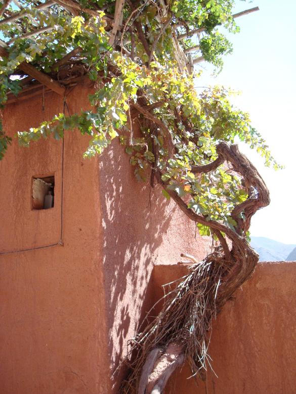 Free stock image of Abyaneh, Kashan, Iran created by Alireza GHABRAEI