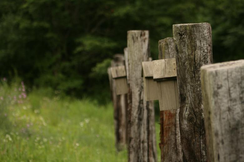 Free stock image of BirdHouses created by GusRomanPhotography