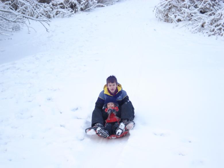 Free stock image of Back Yard Sledding created by Elaine Sons