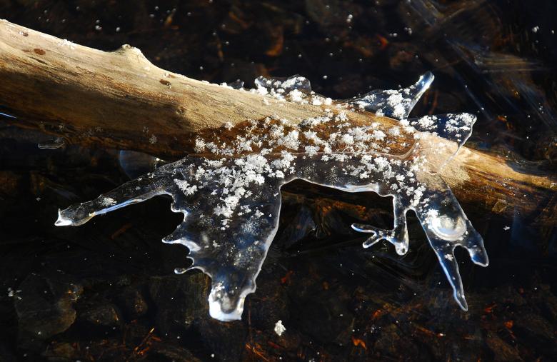 Free stock image of Stuck in the Lake created by Muzz