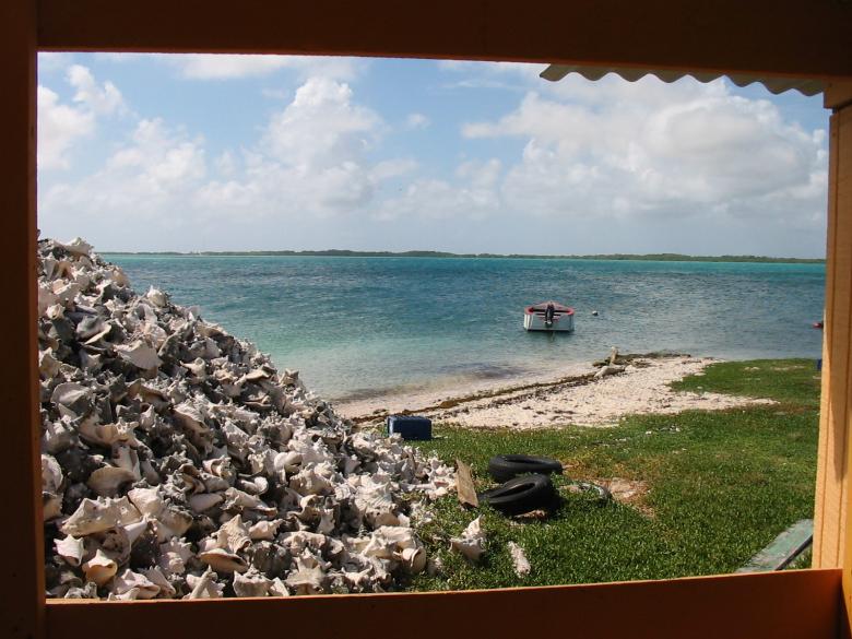Free stock image of Bonaire created by holasia