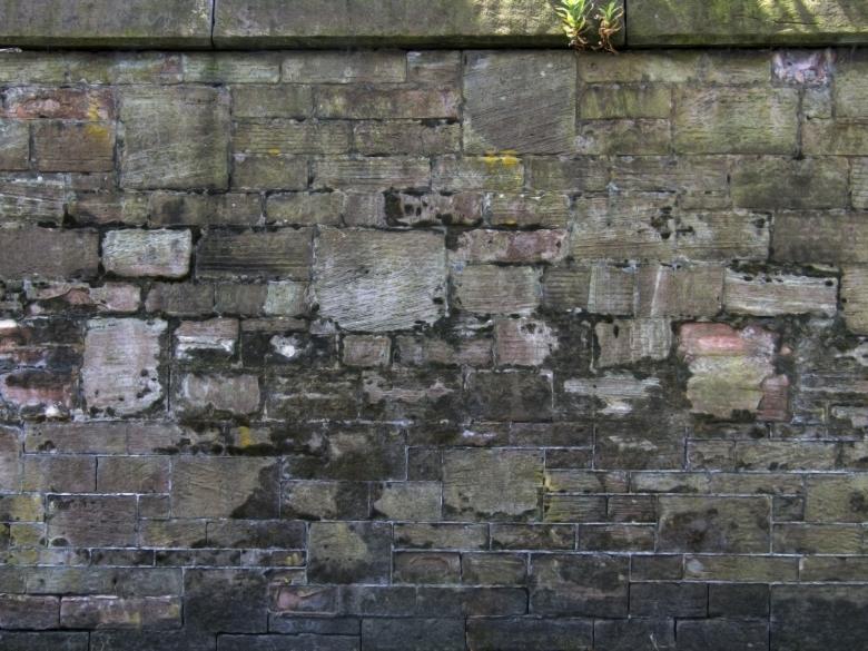 Free stock image of Old stone wall medieval mossy created by Elizabeth Gallagher