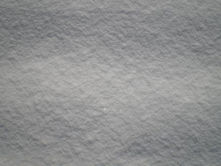 Snow - Free Stock Photo