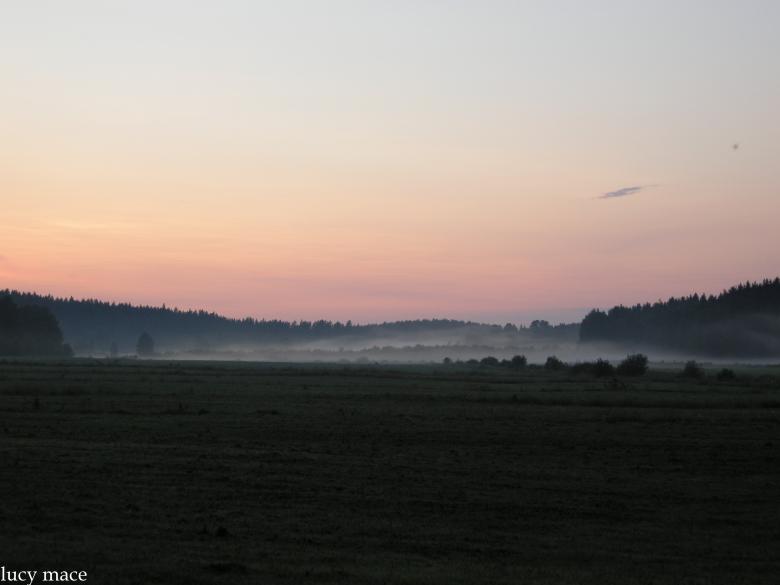 Free stock image of Summer evening in the sky created by Lucia Maciel