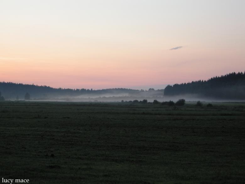 Free stock image of Summer evening in the sky created by Lucia Maciel