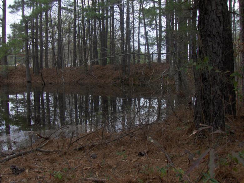 Free stock image of Country pond created by Stephen Rayburn