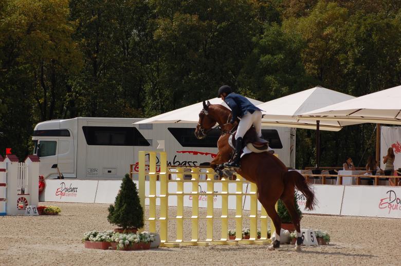 Free stock image of Equestrian created by Volodymyr