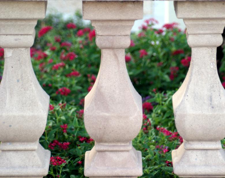 Free stock image of The Garden created by Jesus Baez