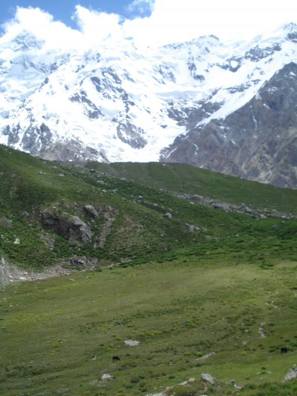 Free stock image of Fairy Meadows created by Ali Haider