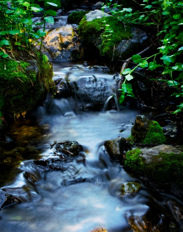 Free stock image of Mountain Stream created by James Stewart