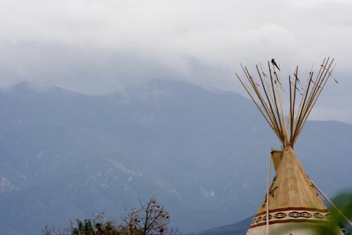 Tipi