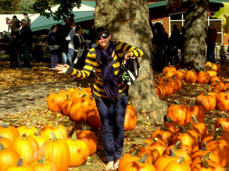 Free stock image of Fun in the Pumkin Patch created by Brian