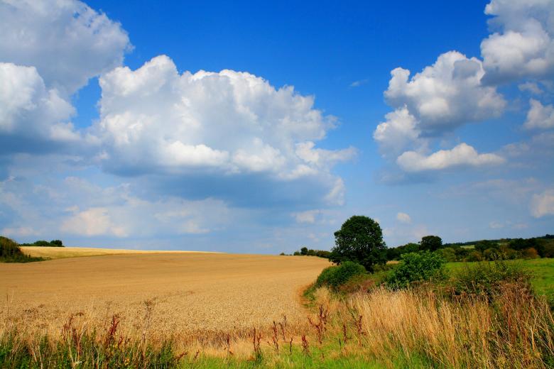 Free stock image of Rural scene created by paul clifton
