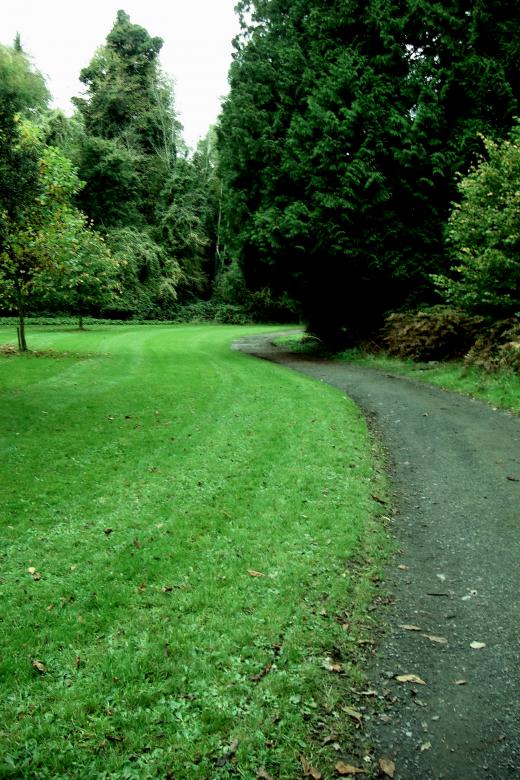 Free stock image of Ireland created by Brian