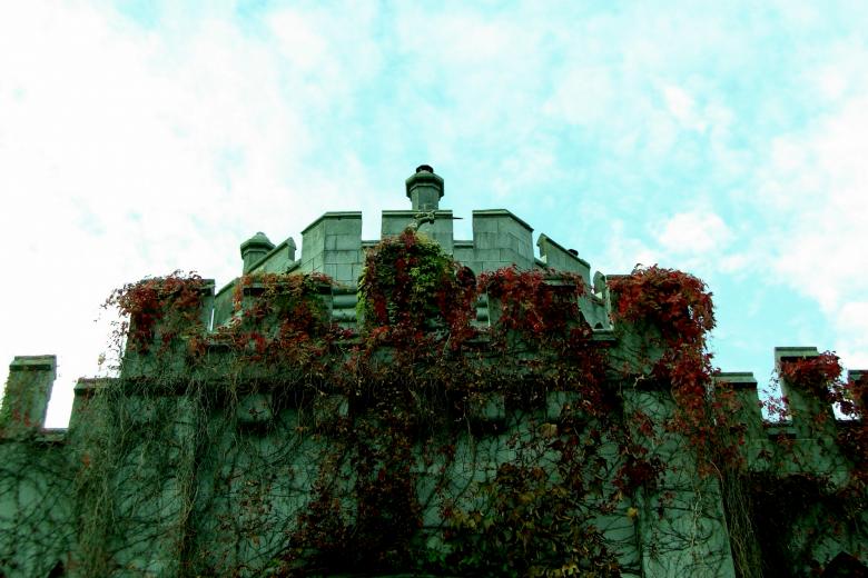 Free stock image of Ivy covered castle wall created by Brian