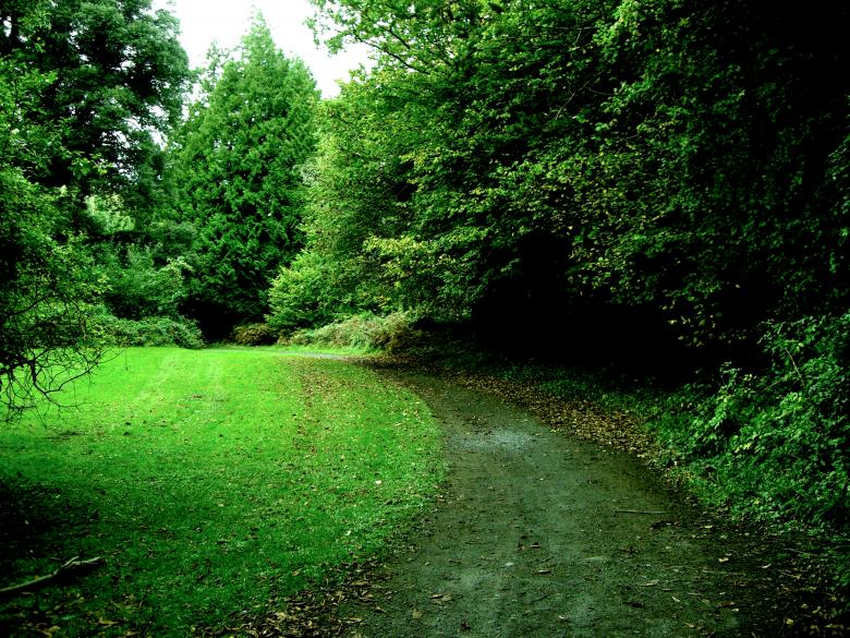 Free stock image of Ireland created by Brian