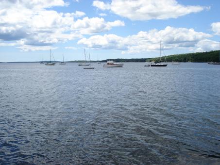 Sailboats - Free Stock Photo