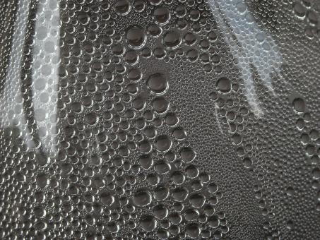 Free Stock Photo of Condensed drops