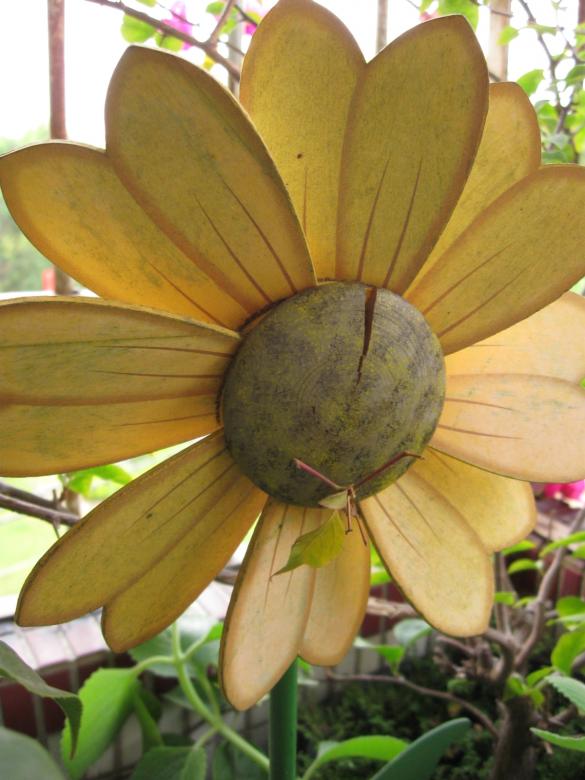 Free stock image of Fake flower created by pmao