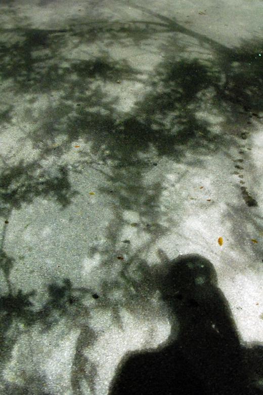 Free stock image of Shadows, Miami, Florida, January 2007 created by Giovanni Gagliardi