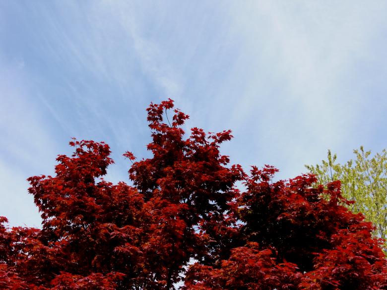 Free stock image of Fall created by Brian