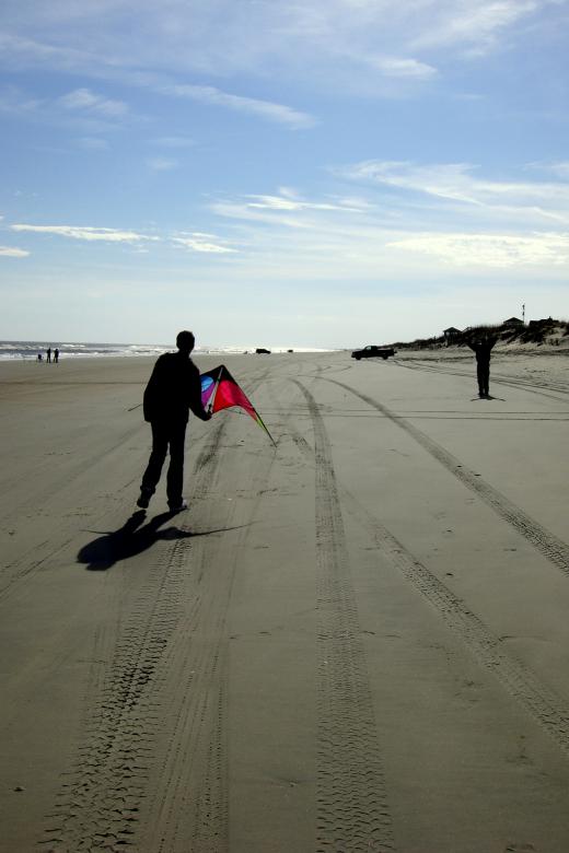 Free stock image of Duck - Kite Flying created by Brian