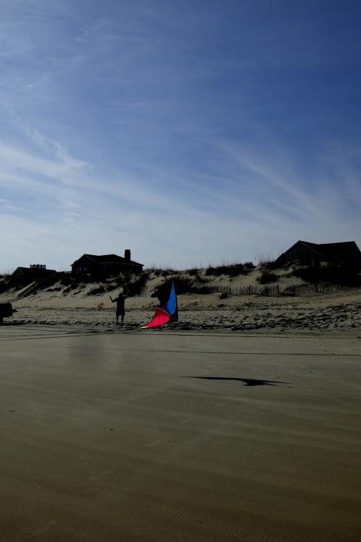 Free stock image of Duck - Kite Flying created by Brian