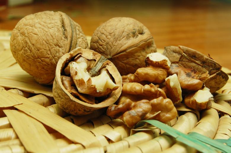Free stock image of Walnuts created by Cofaru Alexandru