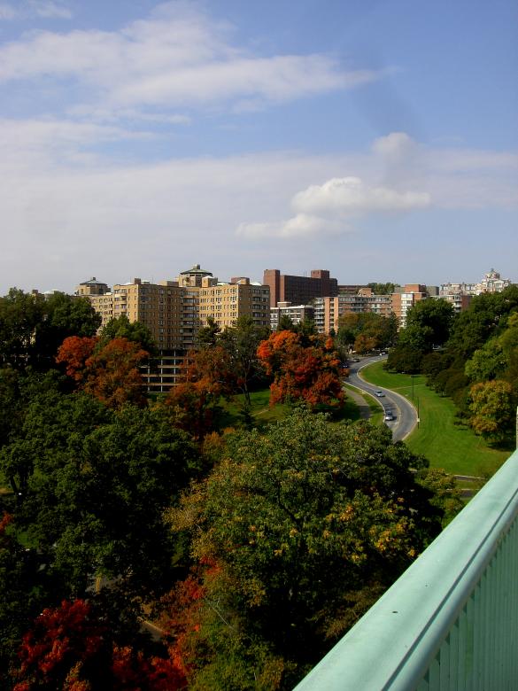 Free stock image of Washington D.C. Famous Landmarks created by Brian