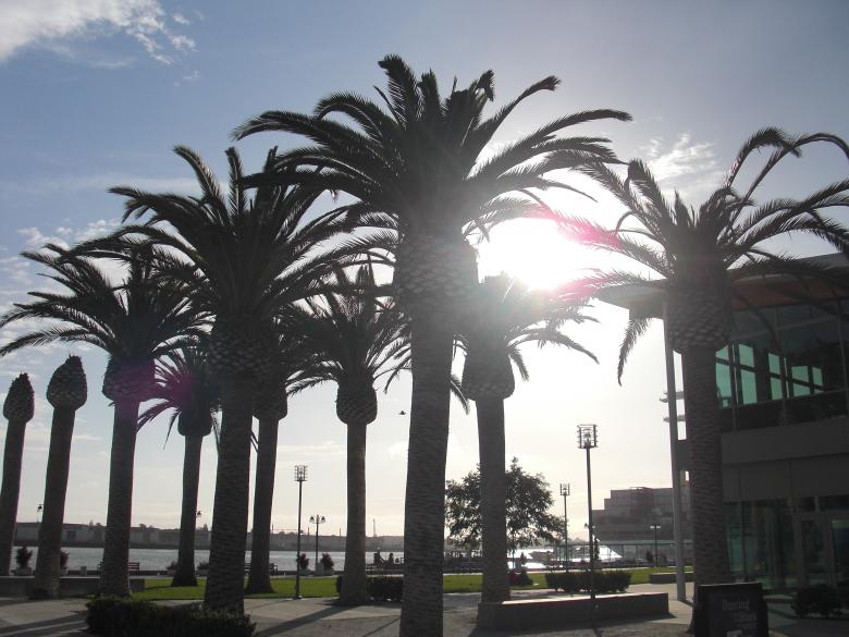 Free stock image of California created by Brian