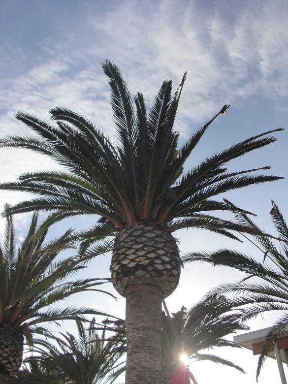 Free stock image of California created by Brian