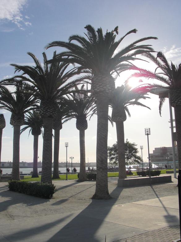 Free stock image of California created by Brian