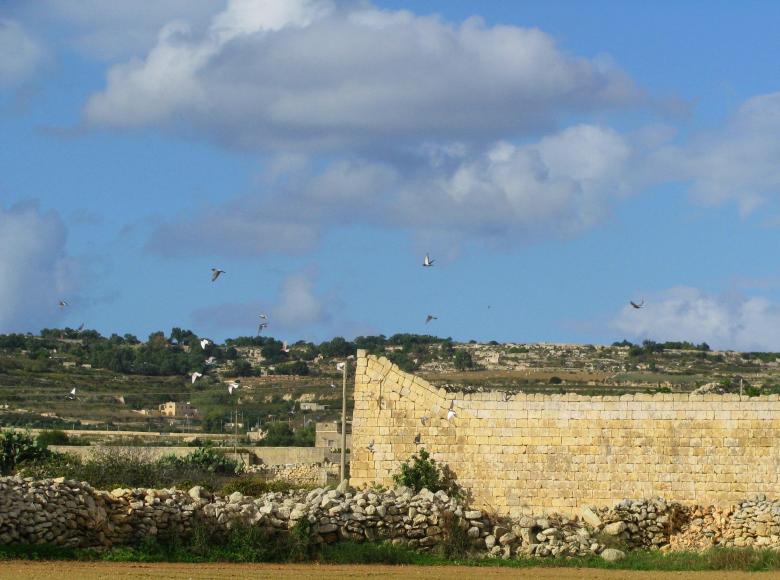Free stock image of Siggiewi - Malta created by Alan C. Bonnici