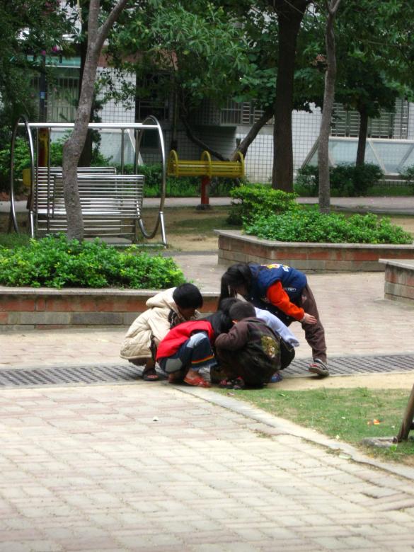 Free stock image of Children Huddled Together created by pmao